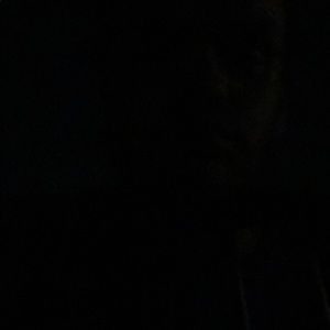 Meet your Posher, Zachary